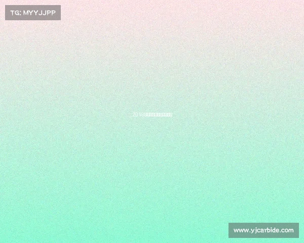 2019年女排世联赛香港站视频