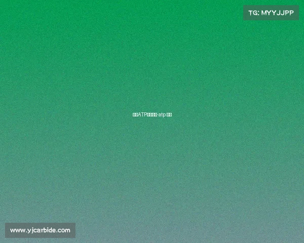 上海ATP赛事规则-atp 比赛