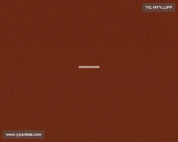 篮球国家赛事荣耀征程巅峰对决